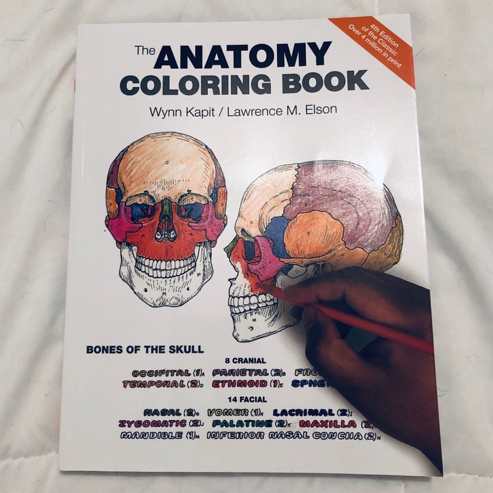 Anatomy coloring book